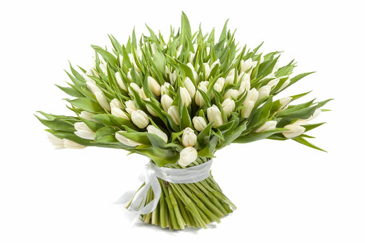 White Tulips Bouquet