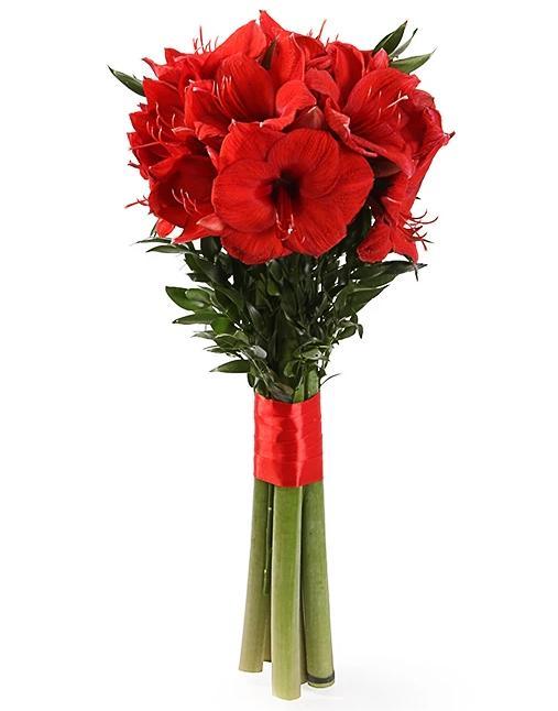 Amaryllis with Ruscus Flowers - Fresh Bouquet Co.