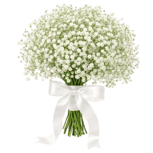 Baby Breath’s Bridal Wedding Bouquet - Fresh Bouquet Co.