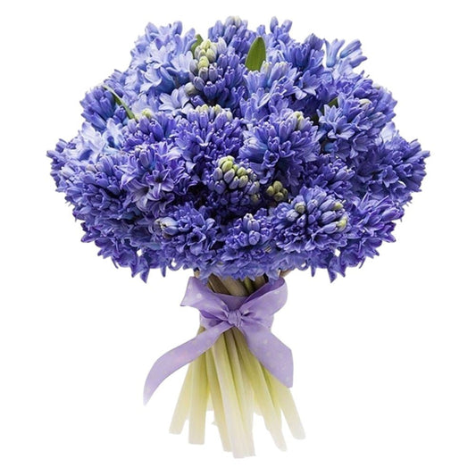 Blue Hyacinth Bouquet - Fresh Bouquet Co.