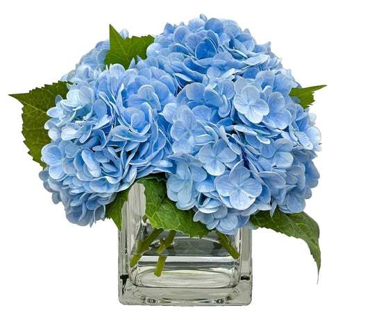Blue Hydrangea in Vase