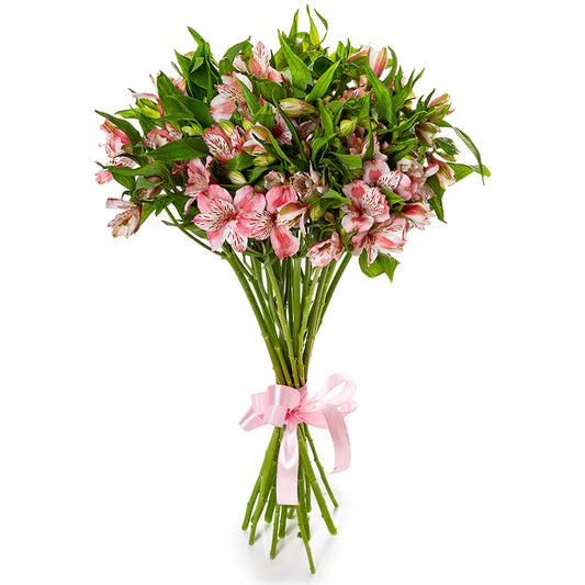 Blush Pink Alstroemeria Bouquet
