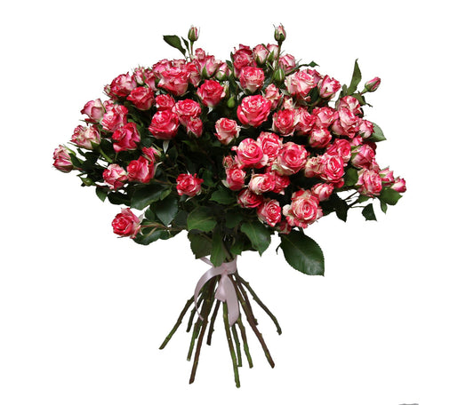 Blush Red Spray Roses Bouquet