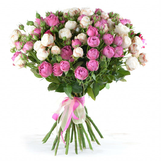 Bombastic Pink & White Spray Garden Roses Bouquet