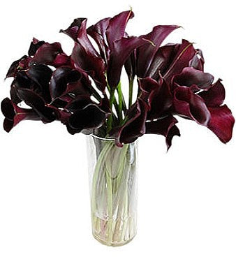 Burgundy Calla Lily Bouquet in Vase