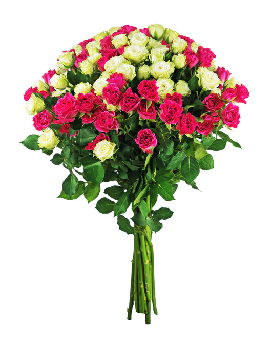 Cerise & White Spray Roses Bouquet