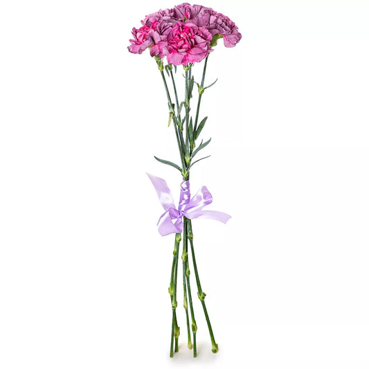 Cherry Carnation Flowers