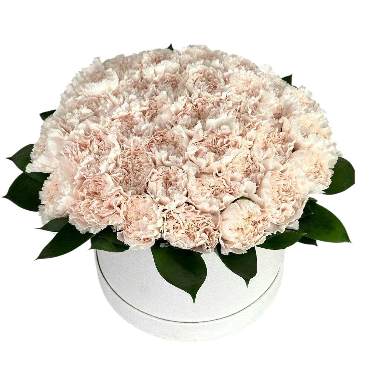 Classic Carnation with Greenery in Box - Fresh Bouquet Co.