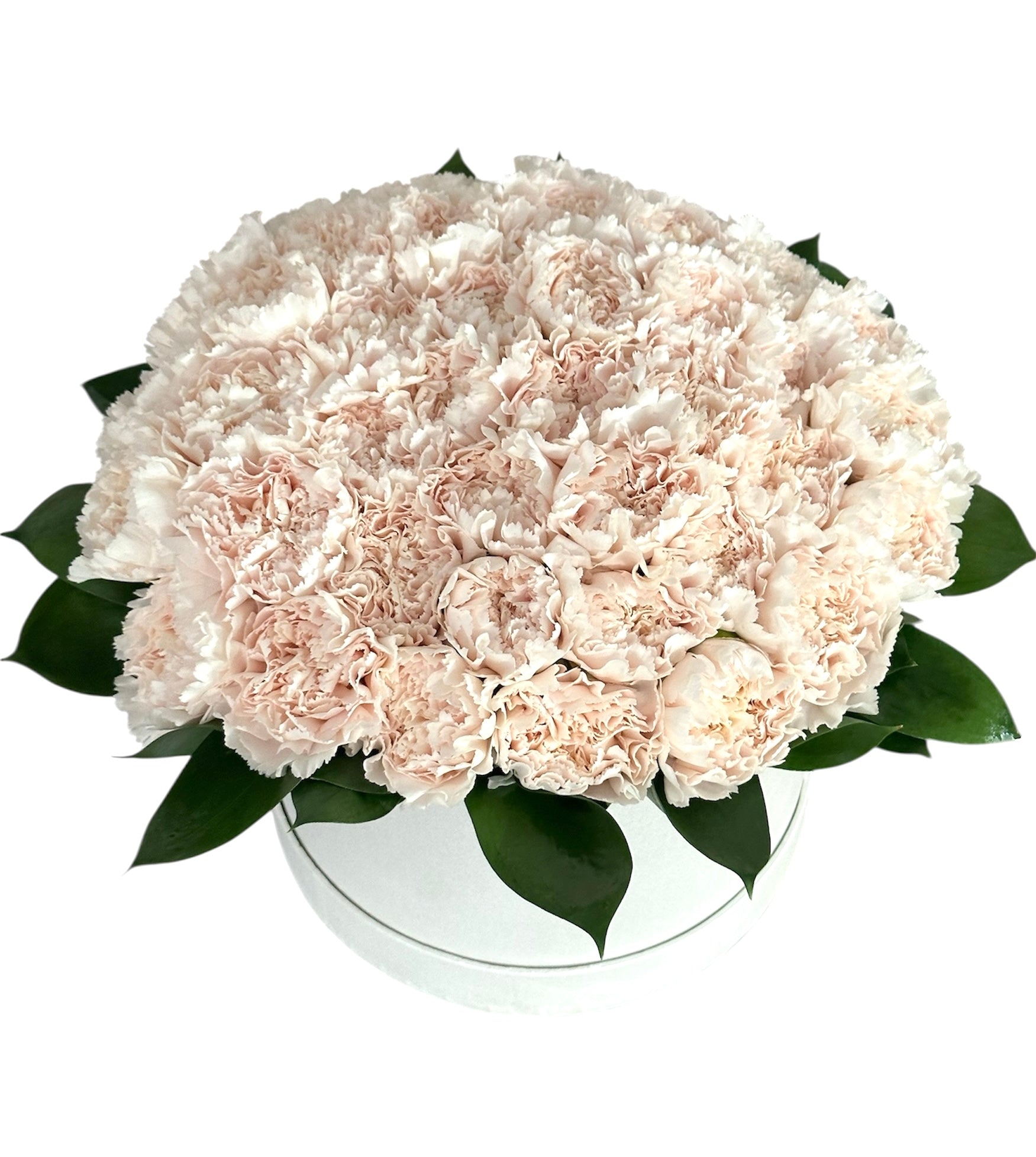 Classic Carnation with Greenery in Box - Fresh Bouquet Co.