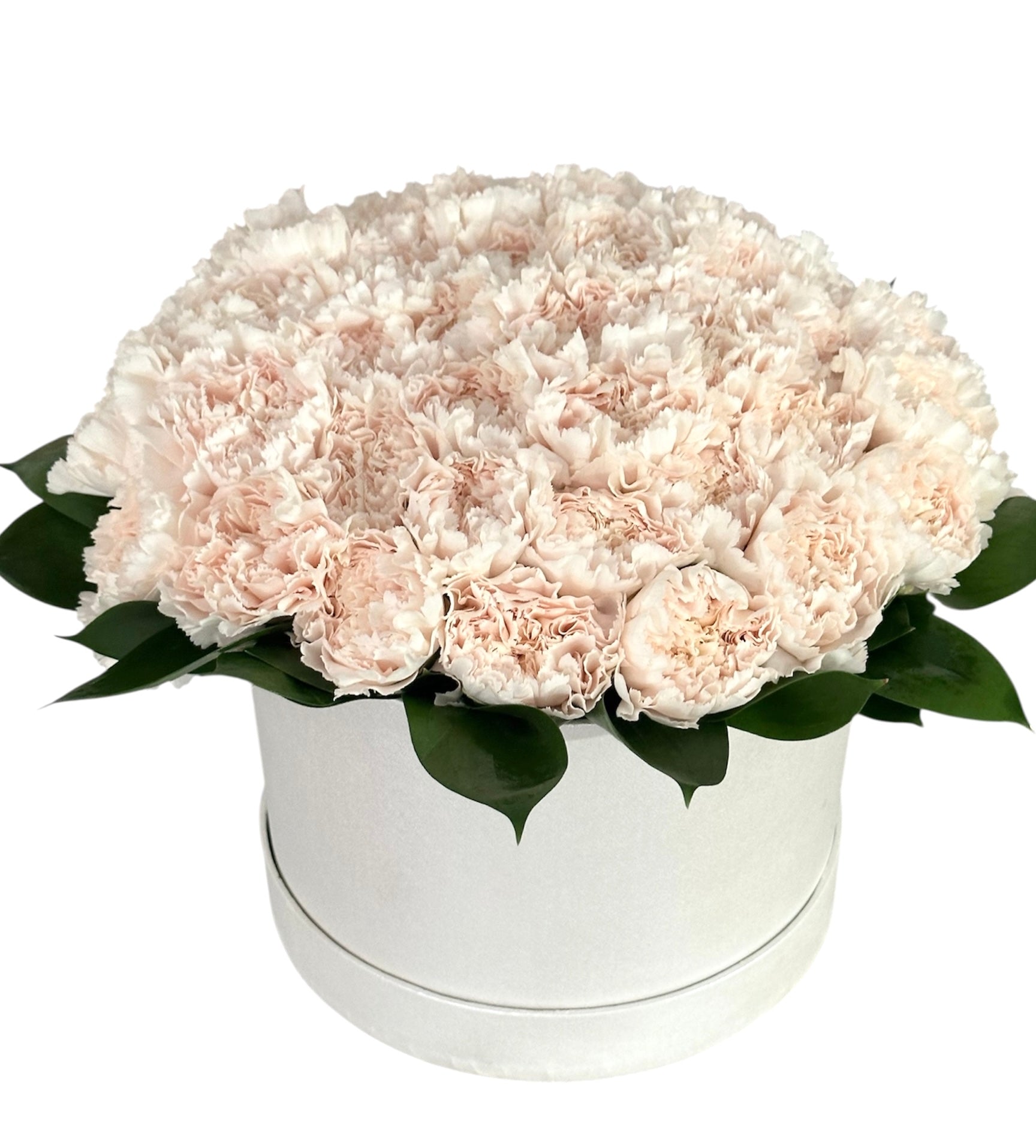 Classic Carnation with Greenery in Box - Fresh Bouquet Co.