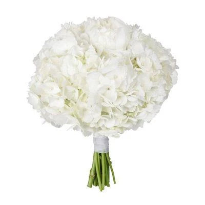Classic Hydrangea Wedding Bridal Bouquet