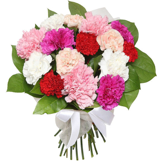 Colourful Carnation Bouquet - Fresh Bouquet Co.