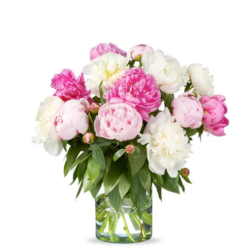 Colourful Peonies Bouquet in Vase
