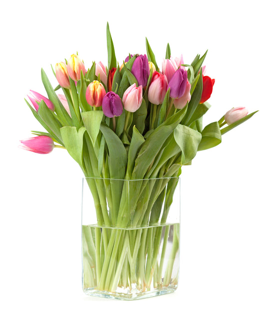 Colourful Tulips Bouquet in Vase