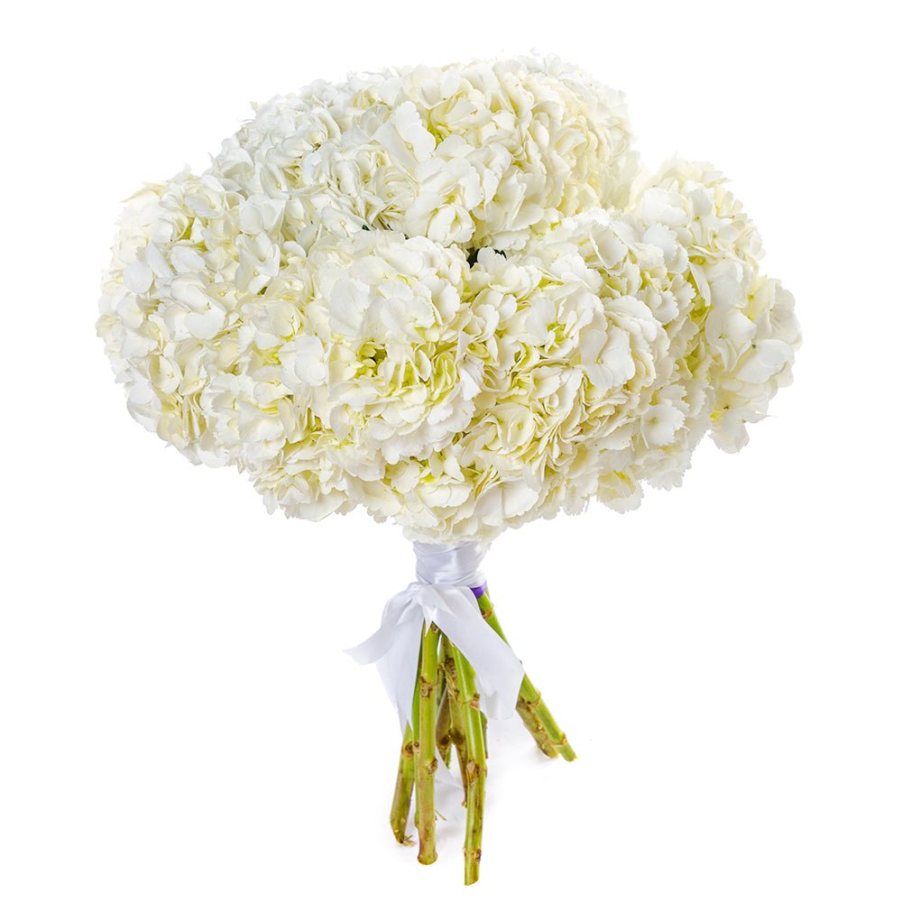 Cream Hydrangea Bouquet - Fresh Bouquet Co.