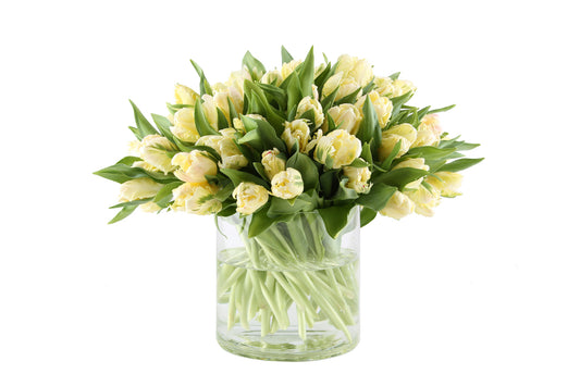 Cream Double Tulips Bouquet in Vase