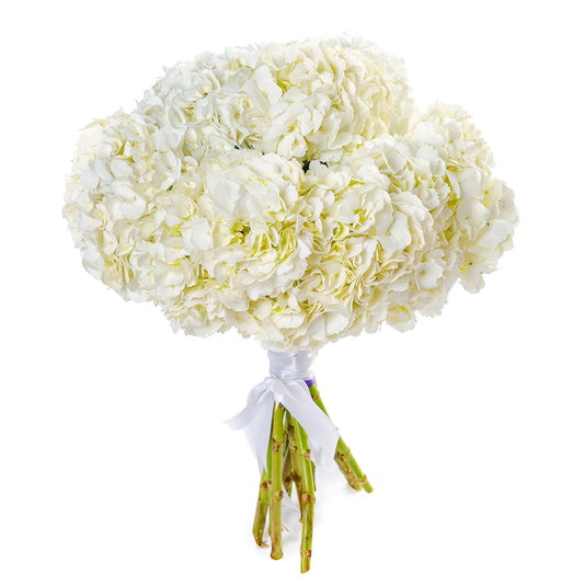 Cream Hydrangea Bouquet