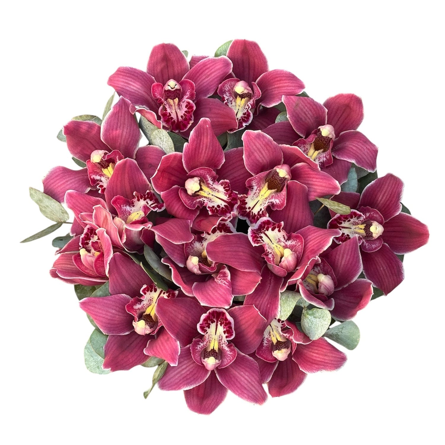 Cymbidium Orchids with Eucalyptus Flower Box - Fresh Bouquet Co.