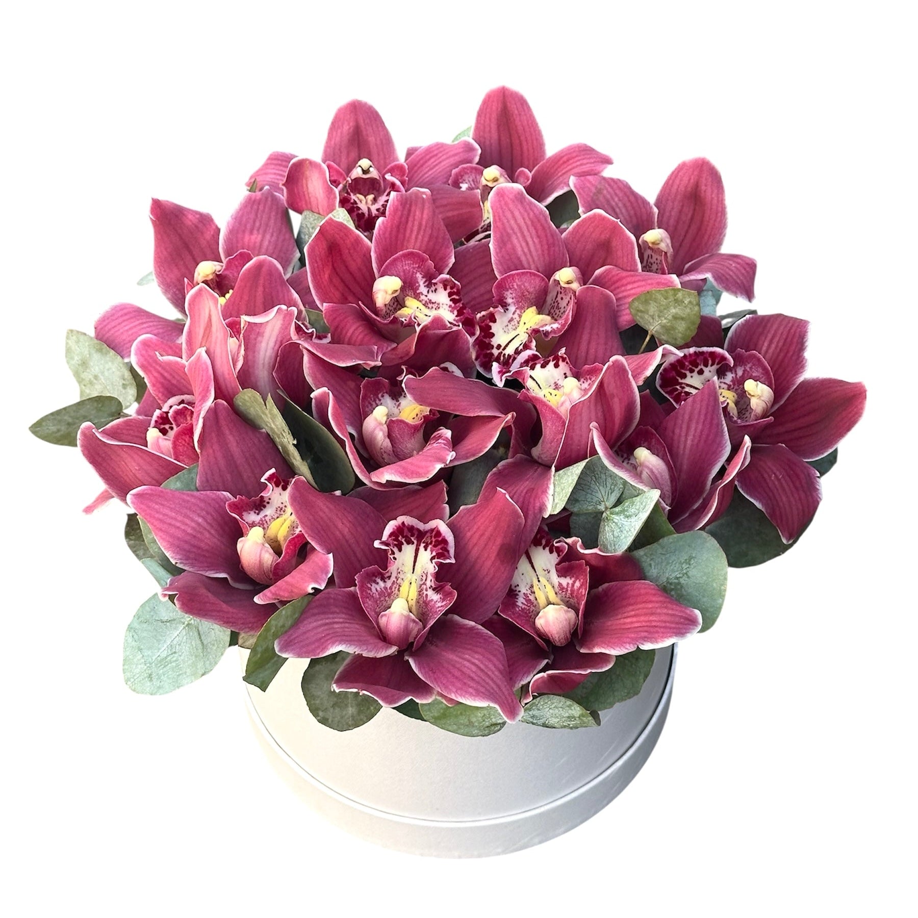 Cymbidium Orchids with Eucalyptus Flower Box - Fresh Bouquet Co.