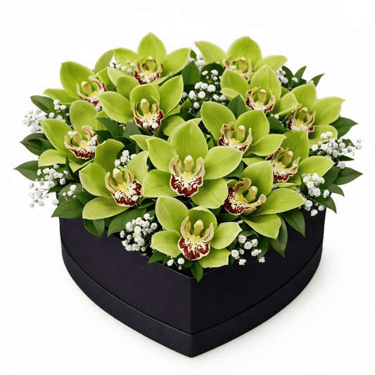 Cymbidium Orchids with Gypsophila and Ruscus - Fresh Bouquet Co.