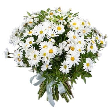 Daisy Bouquet - Fresh Bouquet Co.