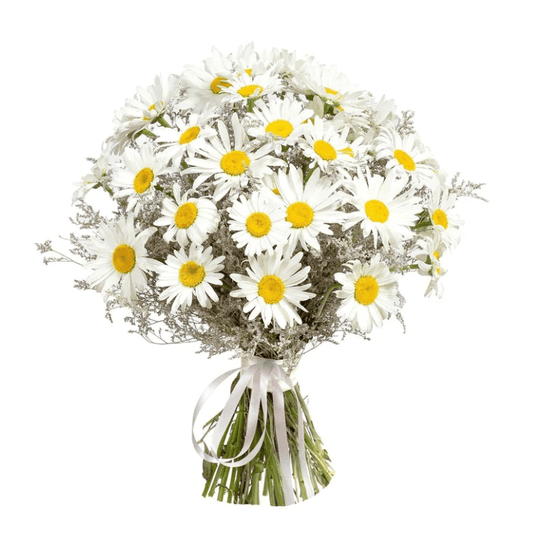 Daisy & Limonium Bouquet - Fresh Bouquet Co.