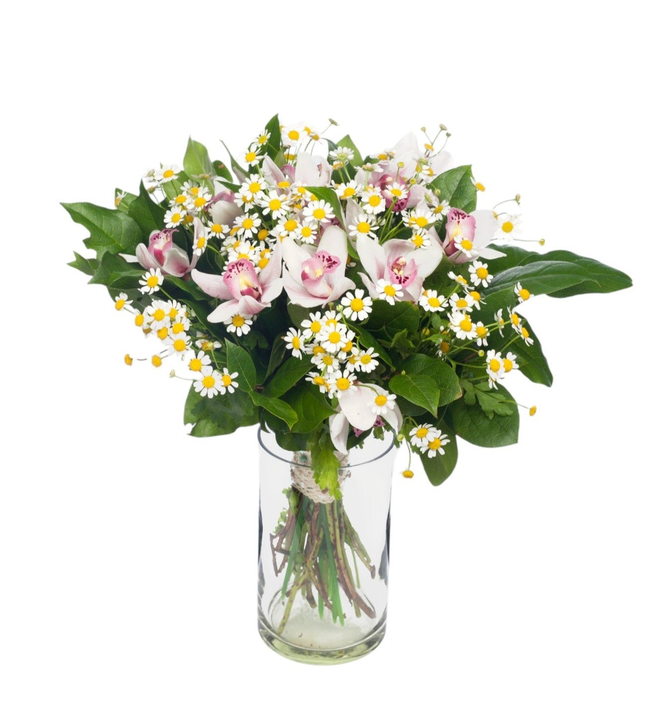 Daisy Tanacetum & Cymbidium Flowers Bouquet in Vase - Fresh Bouquet Co.