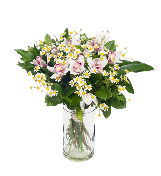 Daisy Tanacetum & Cymbidium Flowers Bouquet in Vase - Fresh Bouquet Co.