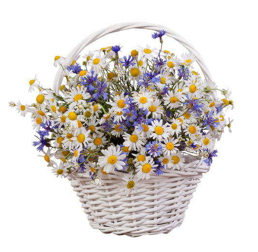 Daisy & Cornflowers Basket