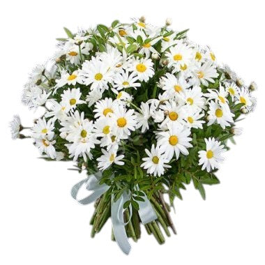 Daisy Bouquet