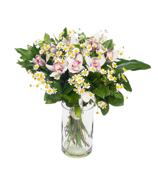Daisy Tanacetum & Cymbidium Flowers Bouquet in Vase
