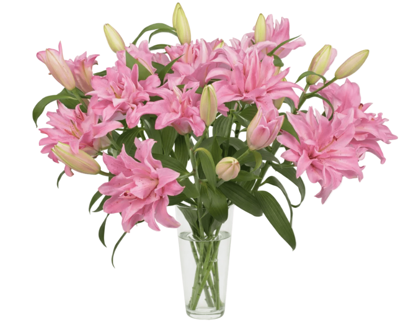 Double Lily Bouquet in Vase - Fresh Bouquet Co.