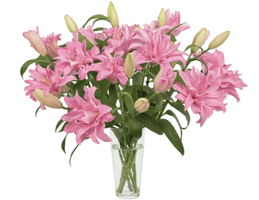 Double Lily Bouquet in Vase - Fresh Bouquet Co.