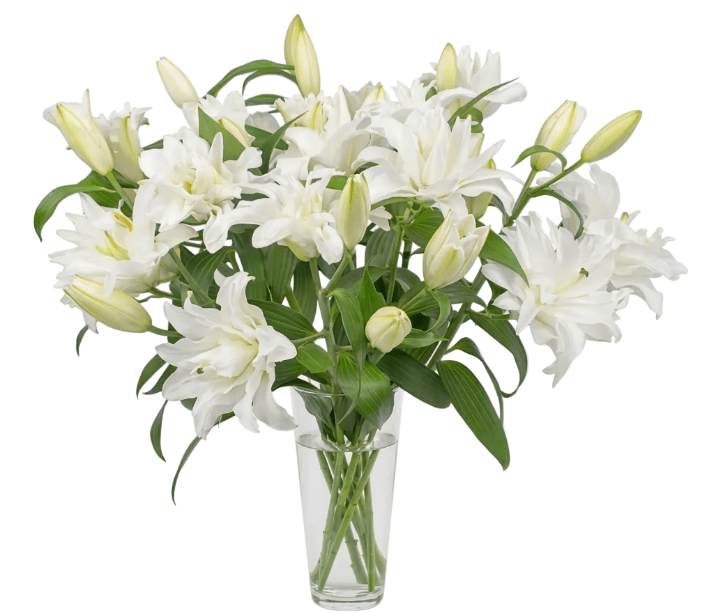 Double Lily Bouquet in Vase - Fresh Bouquet Co.