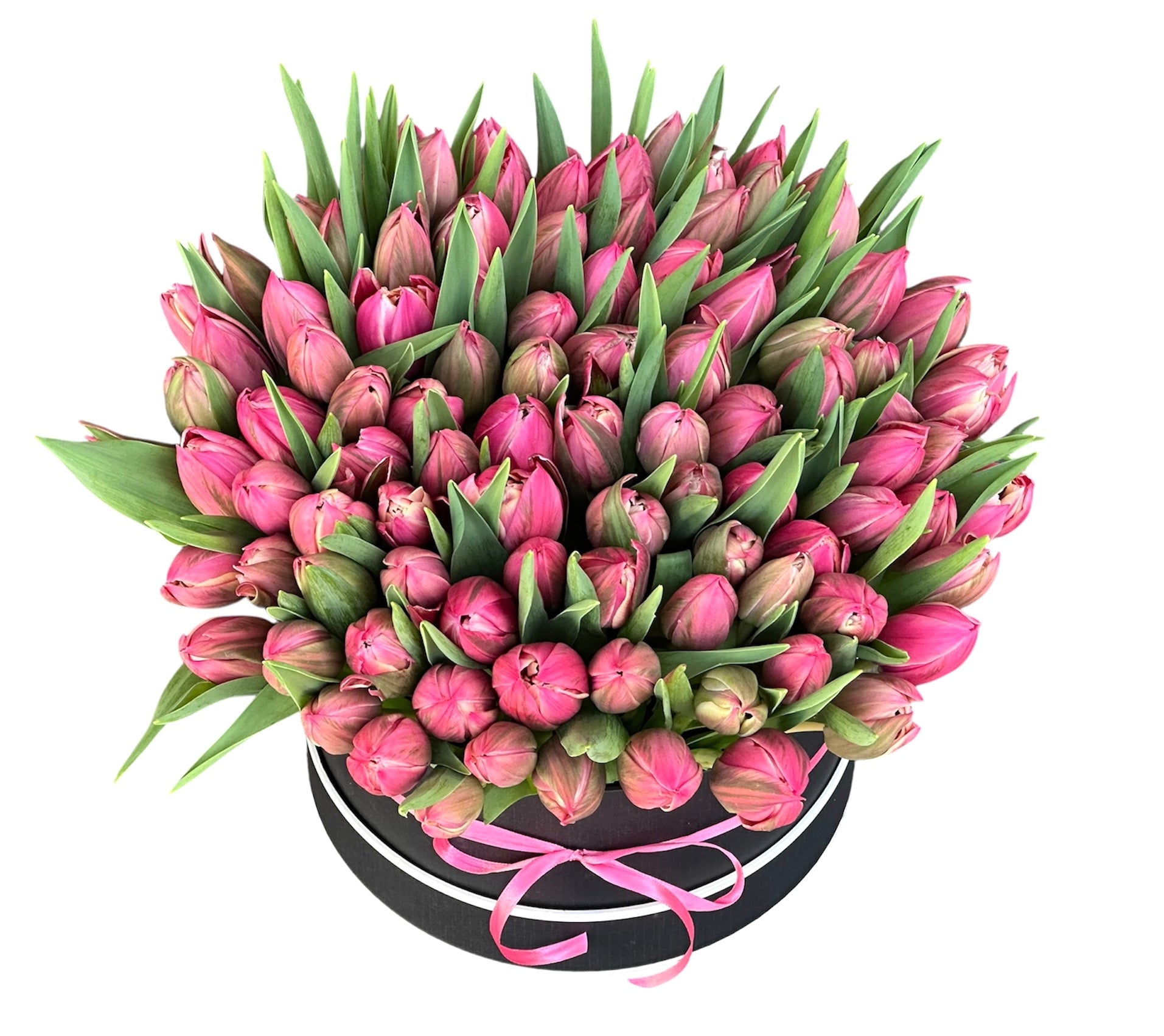 Double Tulips in a Box - Fresh Bouquet Co.