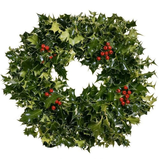 Holly Classic Wreath - Fresh Bouquet Co.