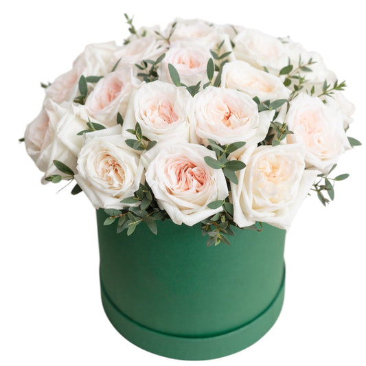 Fragrant White O'Hara Garden Roses Box