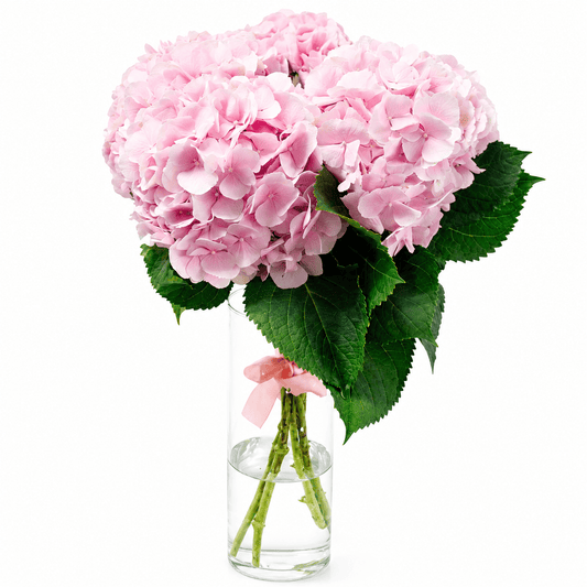Light Pink Hydrangea Bouquet in Vase - Fresh Bouquet Co.