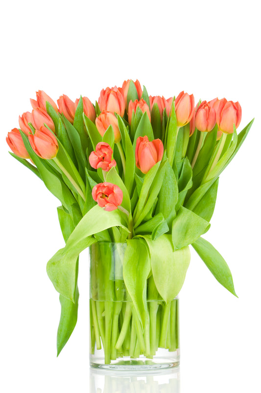Orange Tulips Bouquet in Vase