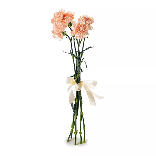 Peach Carnation Bouquet