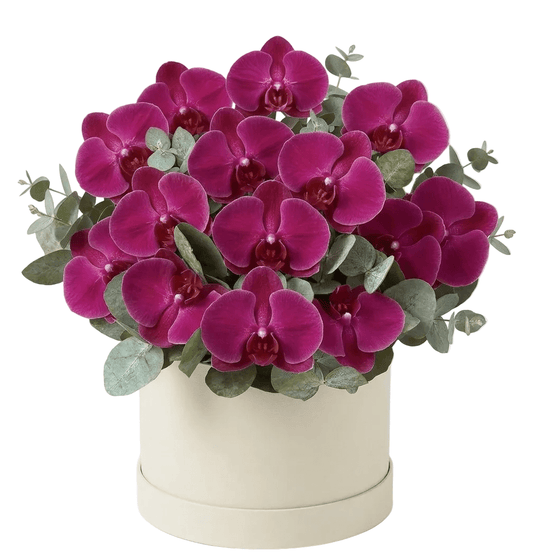 Phalaenopsis Orchids with Eucalyptus Flower Box - Fresh Bouquet Co.