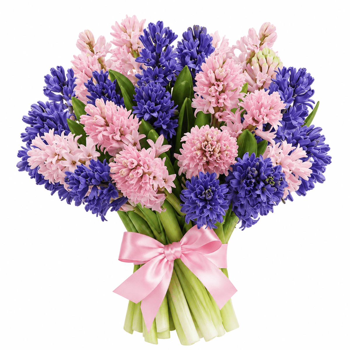 Pink and Blue Hyacinth Bouquet - Fresh Bouquet Co.