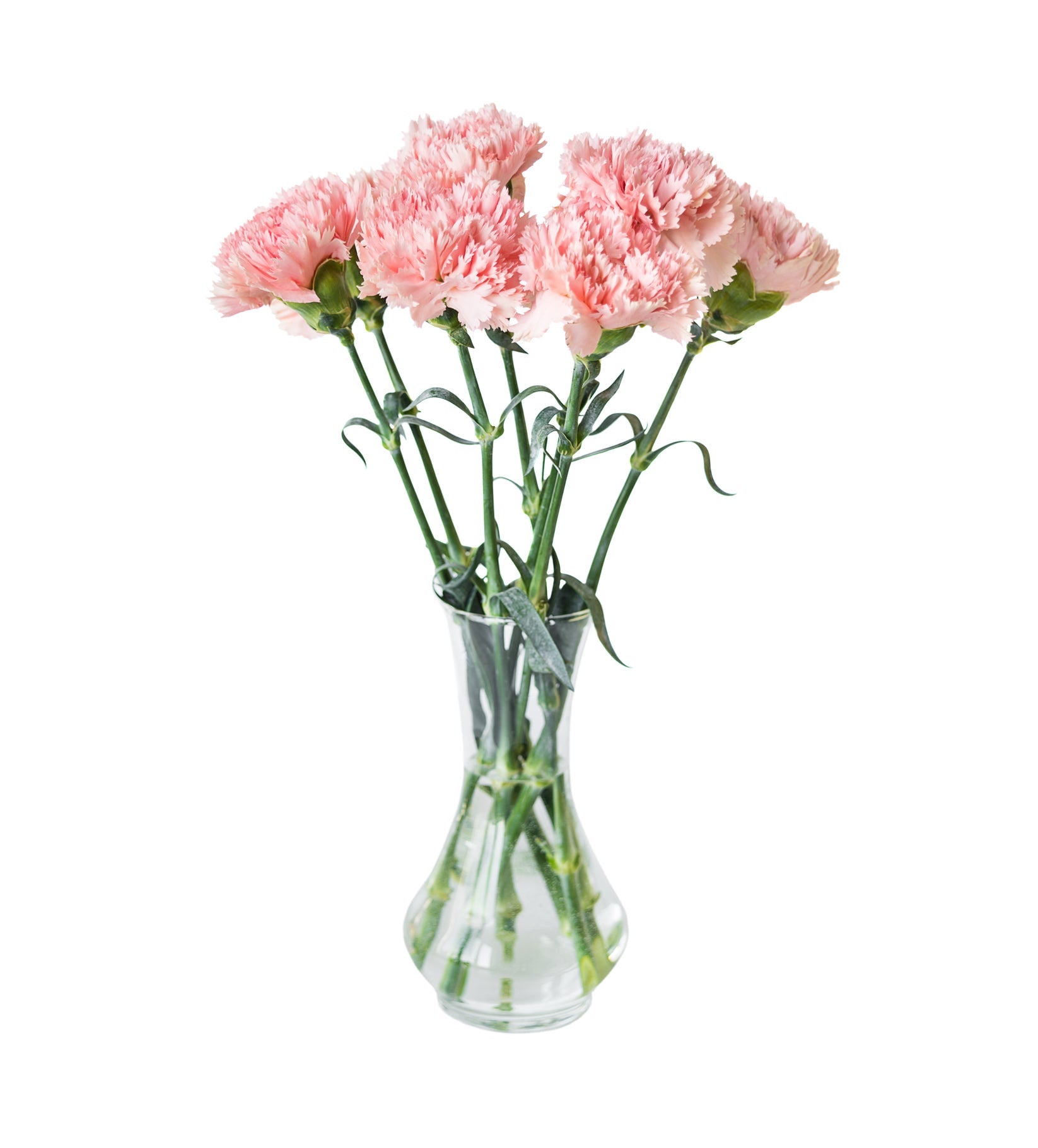 Pink Carnation Bouquet - Fresh Bouquet Co.