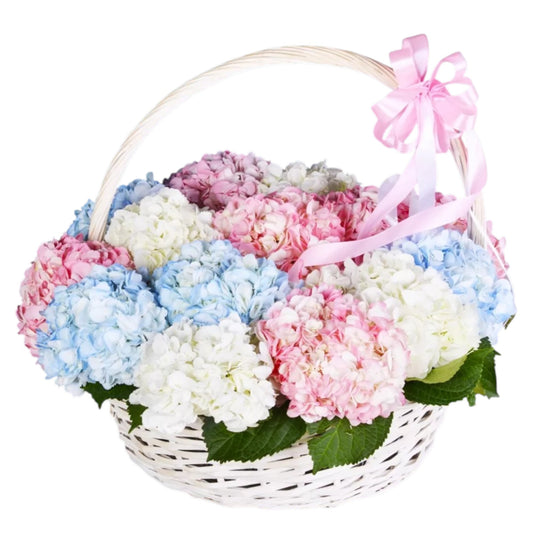 Rainbow Hydrangea Basket
