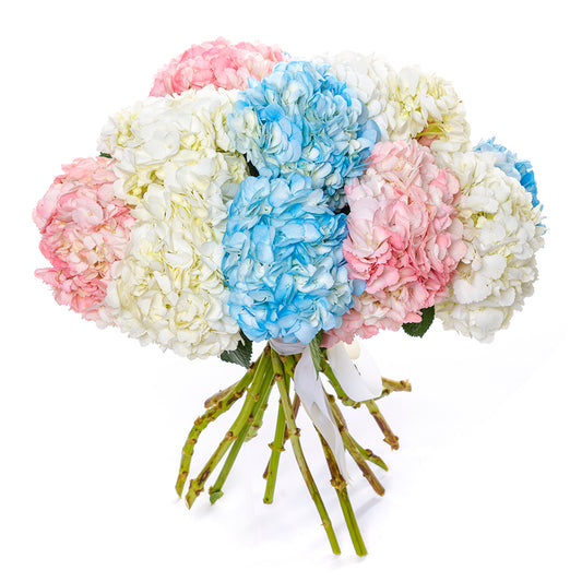 Rainbow Hydrangea Bouquet