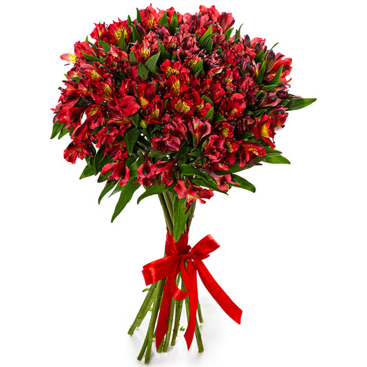 Red Alstroemeria Bouquet