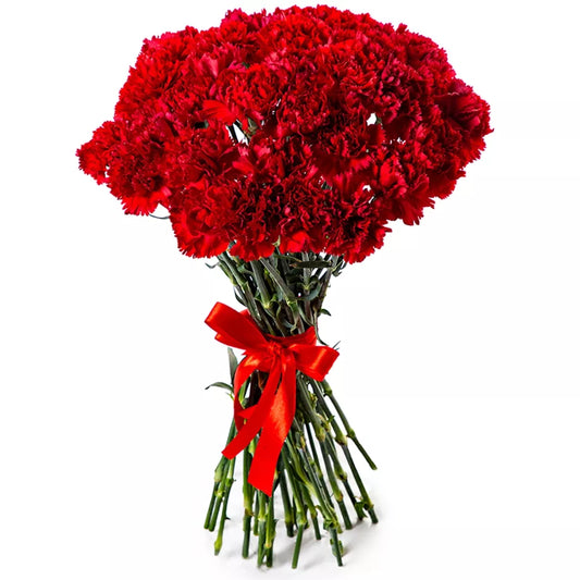 Red Carnation Bouquet