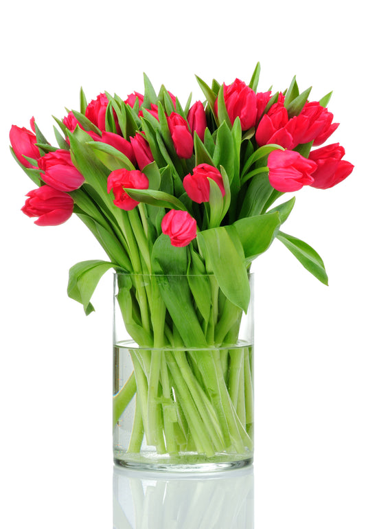 Red Tulips Bouquet in Vase