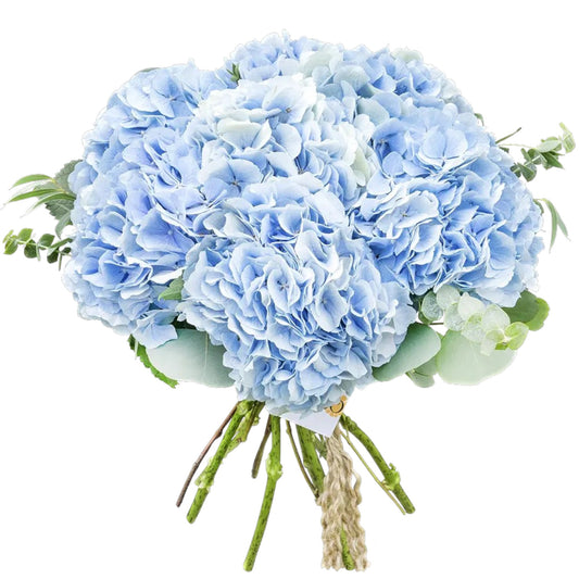 Pale Blue Hydrangea & Eucalyptus Bouquet