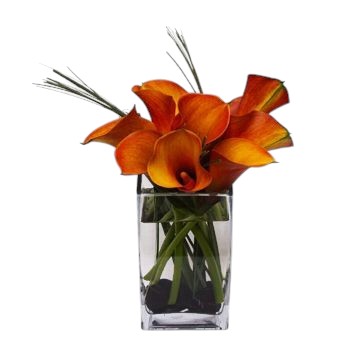 Short Orange Calla Lily Bouquet in Vase